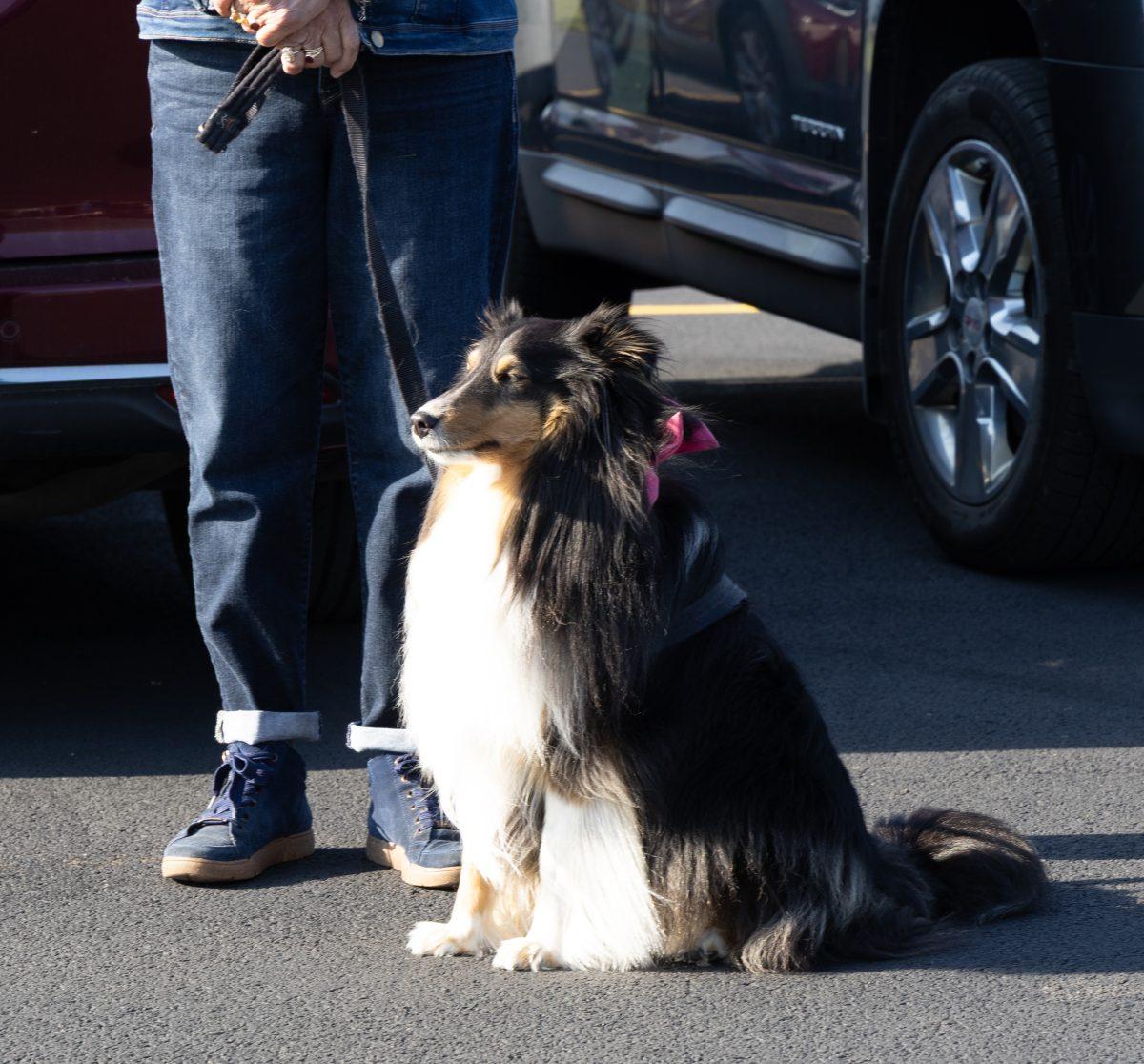 Blessing-of-Pets-October-4-2025-04