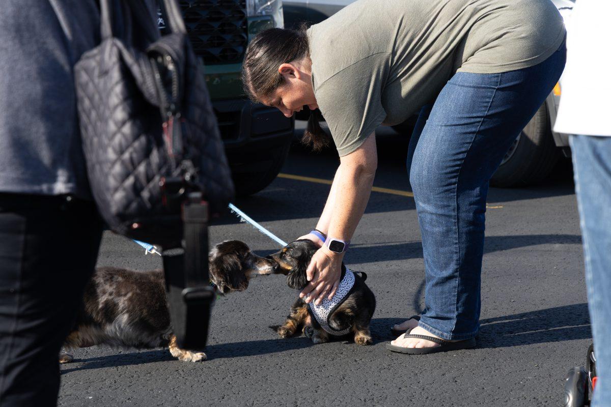 Blessing-of-Pets-October-4-2025-14