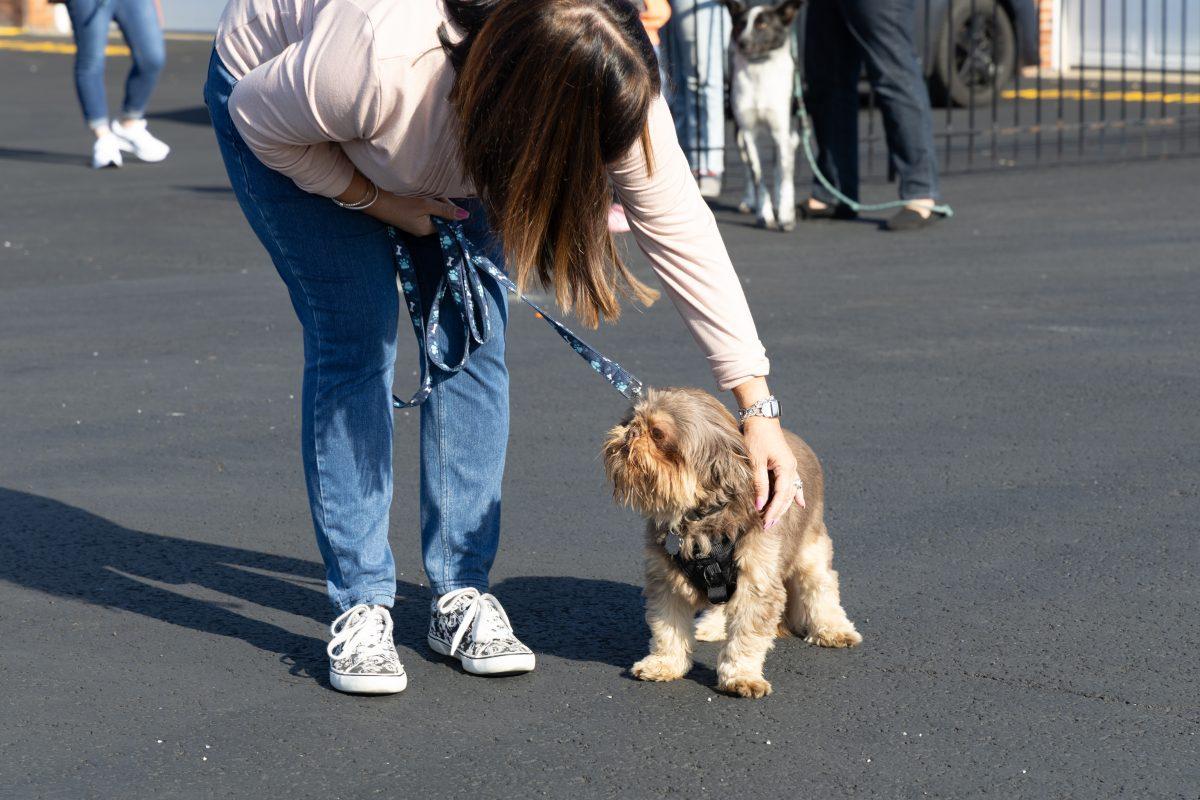 Blessing-of-Pets-October-4-2025-16