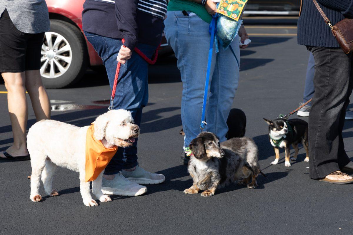 Blessing-of-Pets-October-4-2025-48