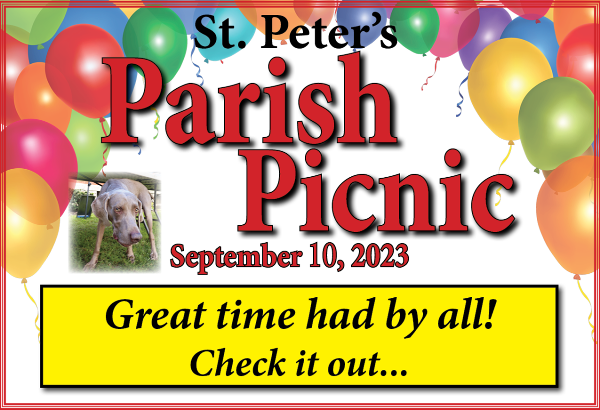 Picnic-Sept-2023-Sign-for-Web-After-picnic-photos