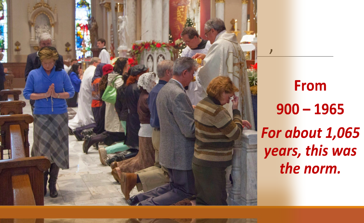 Q1-Receiving-the-Eucharist-on-the-tongue-vs-in-the-hand-2 Page 12