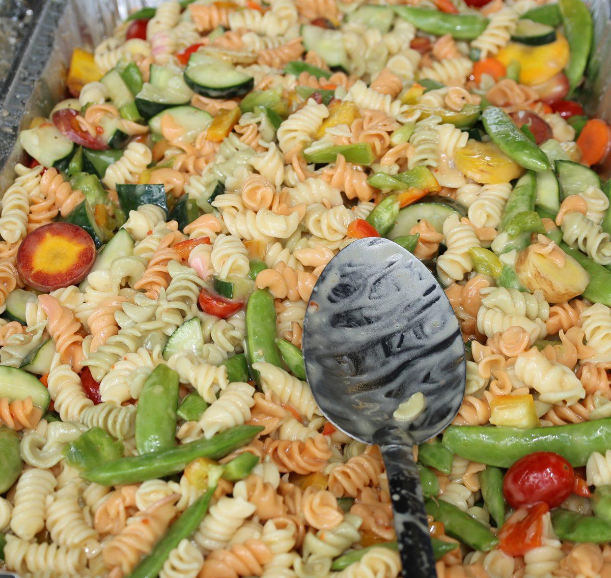 Sacred-Heart-Parish-Picnic-Sept-2025-186