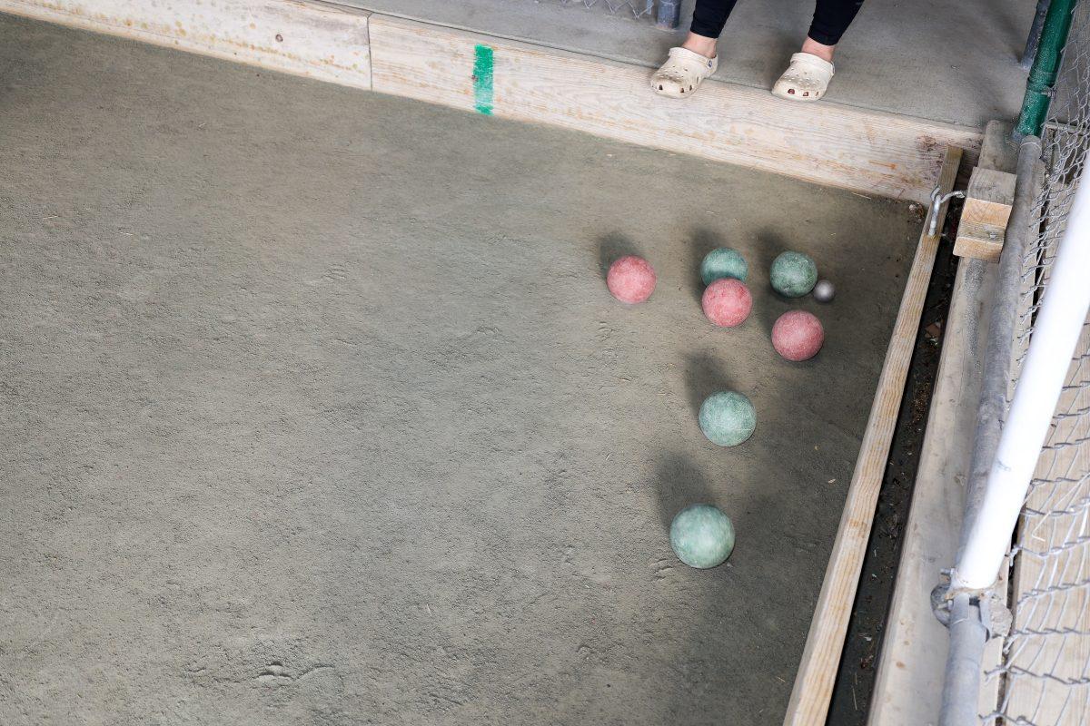 Sacred-Heart-Parish-Picnic-Sept-2025-295