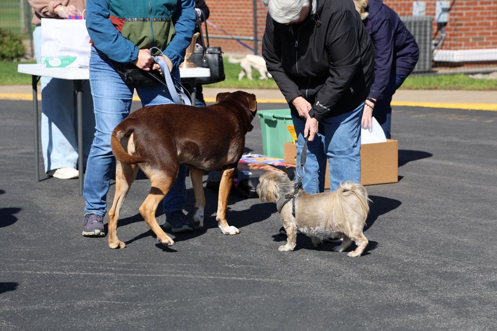 Sacred-Heart-Pet-Blessing-Oct-4-2026-11