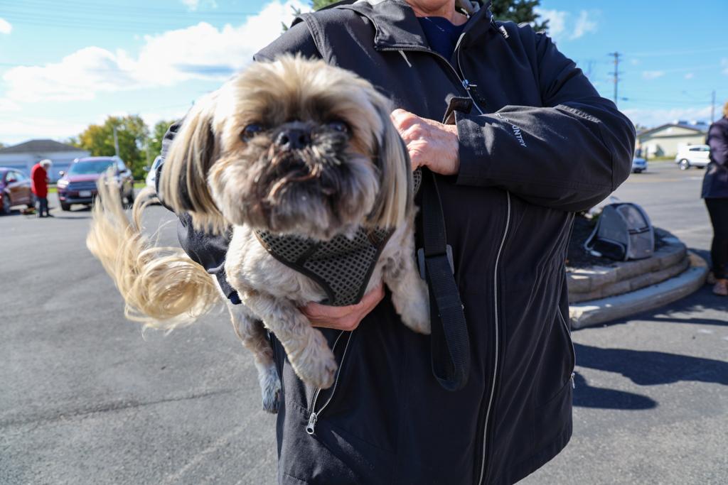 Sacred-Heart-Pet-Blessing-Oct-4-2026-2