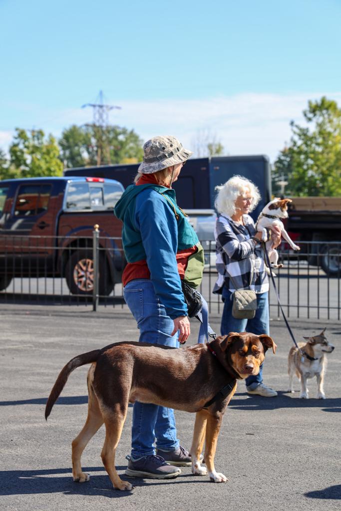 Sacred-Heart-Pet-Blessing-Oct-4-2026-56