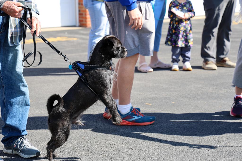 Sacred-Heart-Pet-Blessing-Oct-4-2026-57